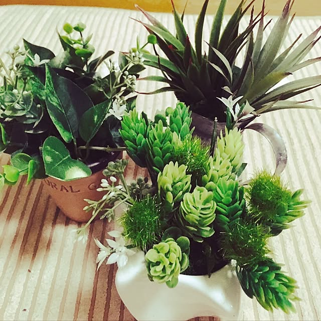 リビング/ハンドメイド/100均/ダイソー/観葉植物...などのインテリア実例 - 2016-11-04 22:48:52