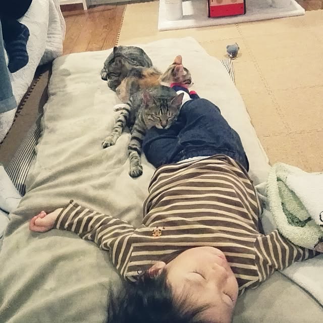 noraさんの実例写真