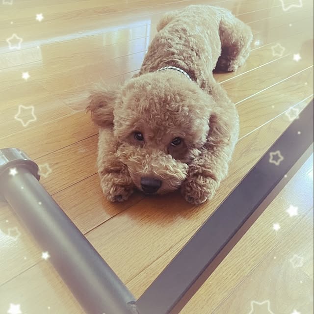 mimi828さんの実例写真