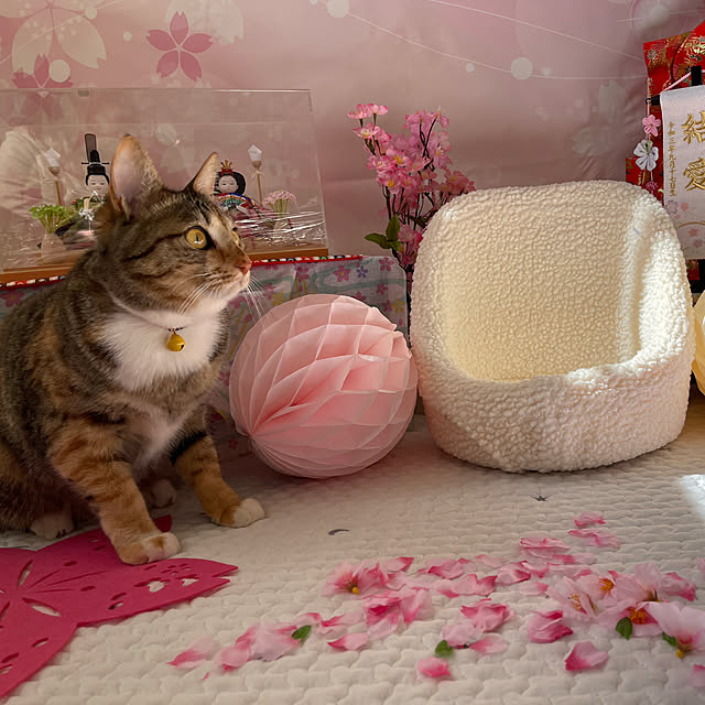 mikaさんの実例写真