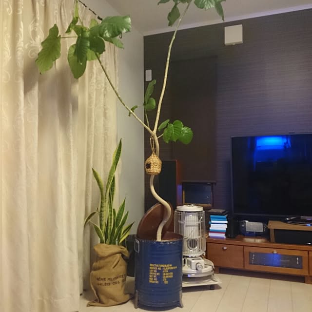 miyaさんの実例写真