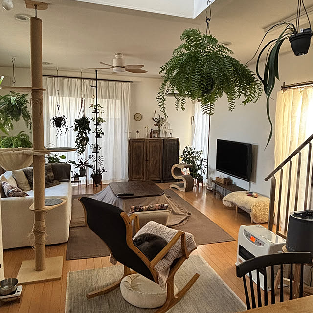 greycatsさんの実例写真