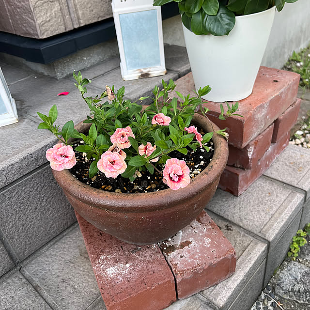 ritsukoさんの実例写真