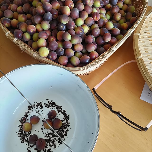 salacocoさんの部屋