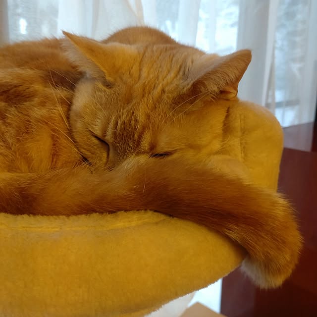 glassさんの実例写真