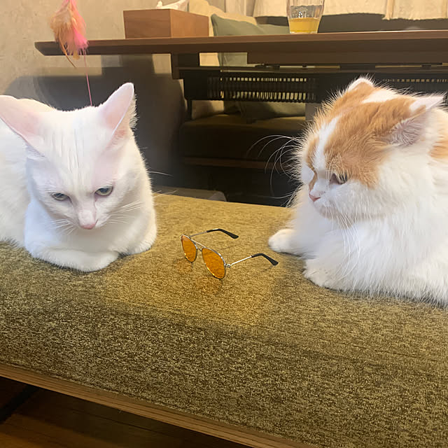 keiさんの部屋