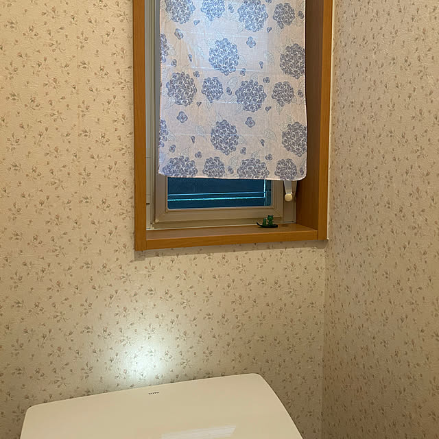 fumikoiさんの実例写真