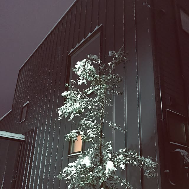 daisukeさんの実例写真