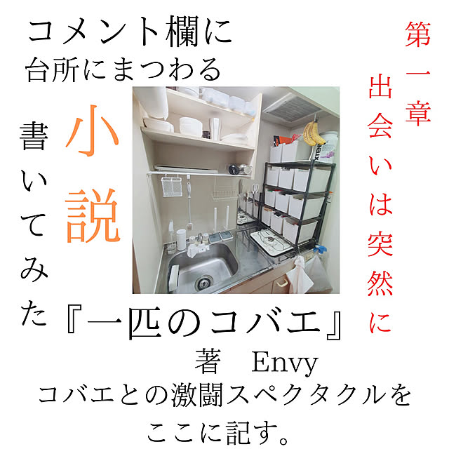 Envyさんの実例写真