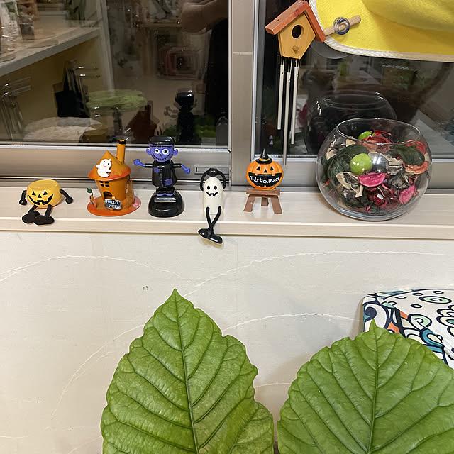 Toyomiさんの実例写真