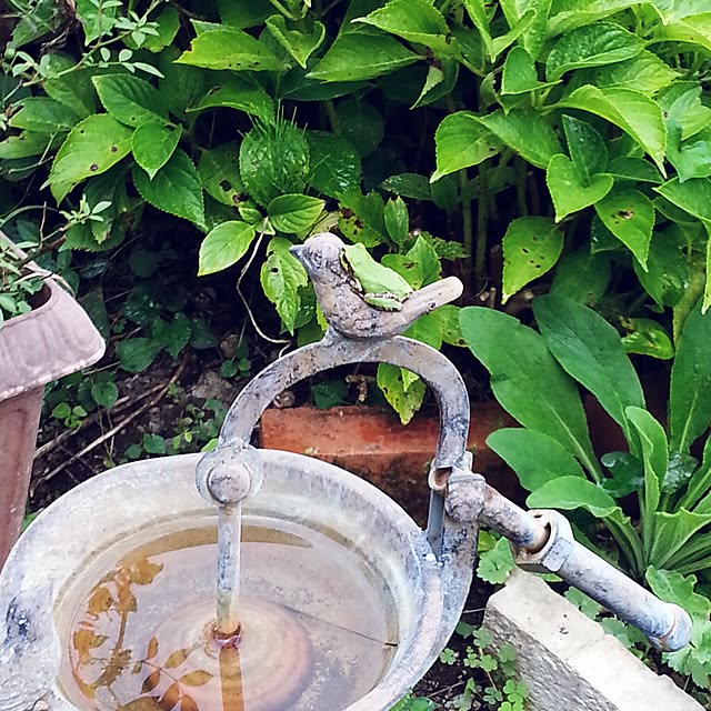 maruさんの実例写真