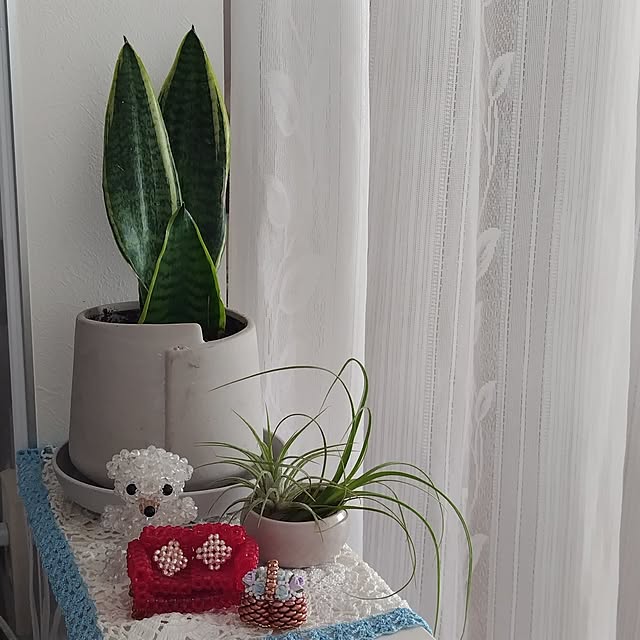 etsuさんの部屋
