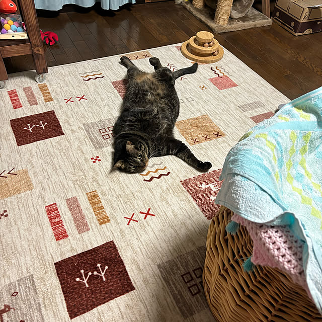 momocchiさんの部屋