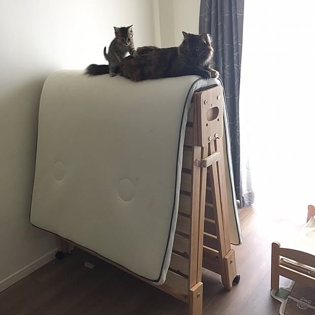 mikomaruさんの実例写真