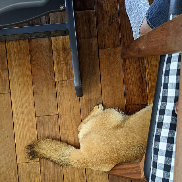 s_h_yさんの実例写真