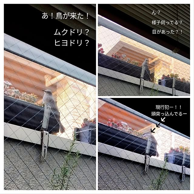 jinさんの部屋