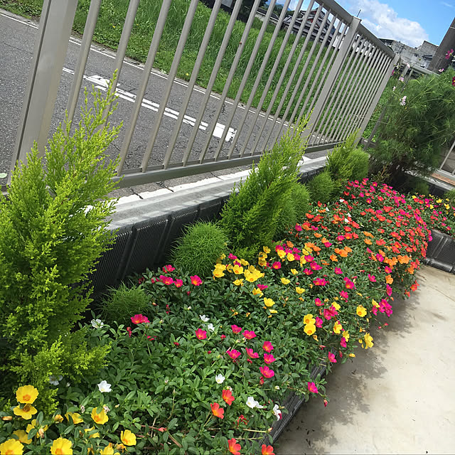 nanachanmamaさんの実例写真