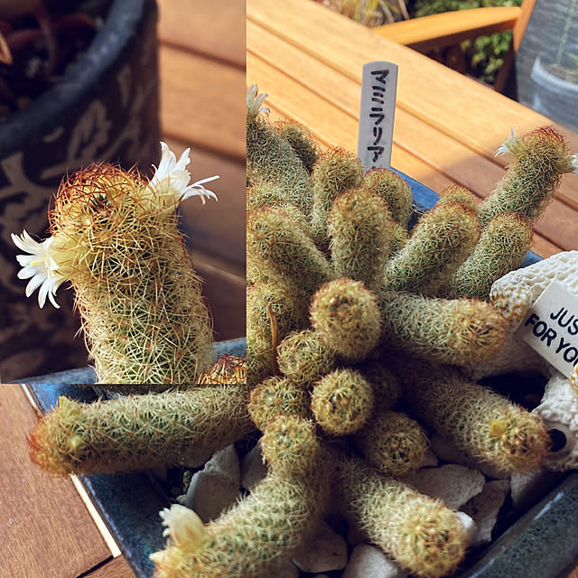 keikoさんの実例写真