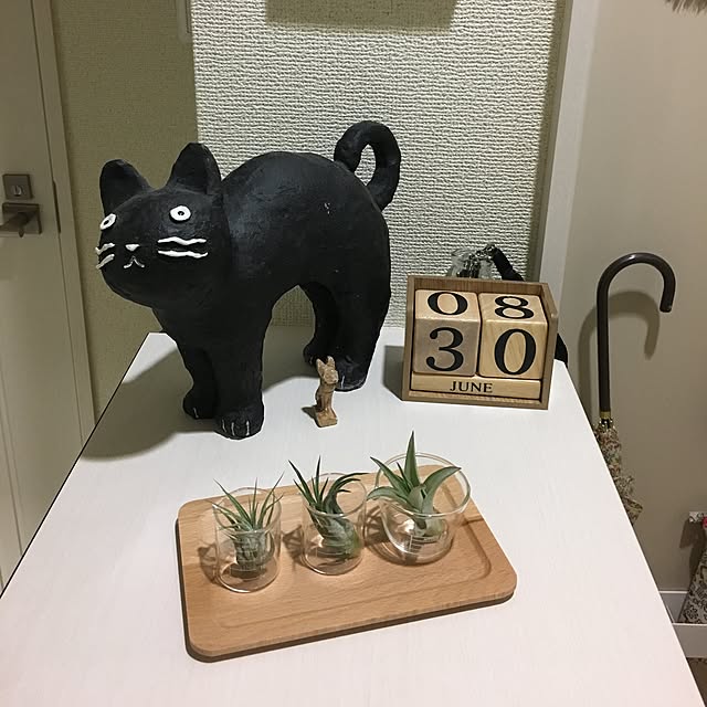kijitoraさんの実例写真