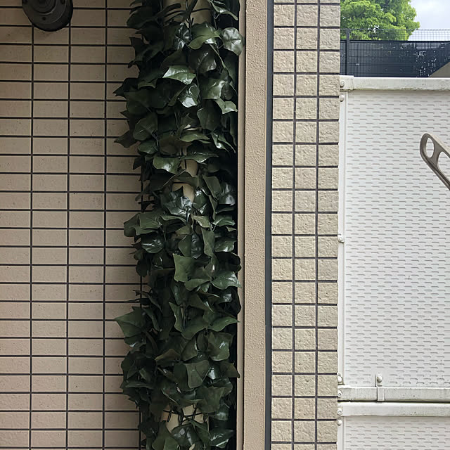 yukinkoさんの実例写真
