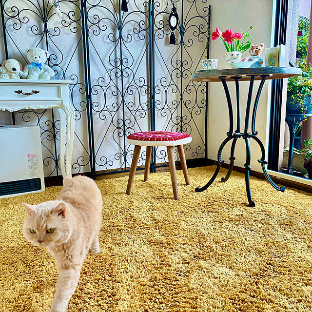 naokoさんの部屋