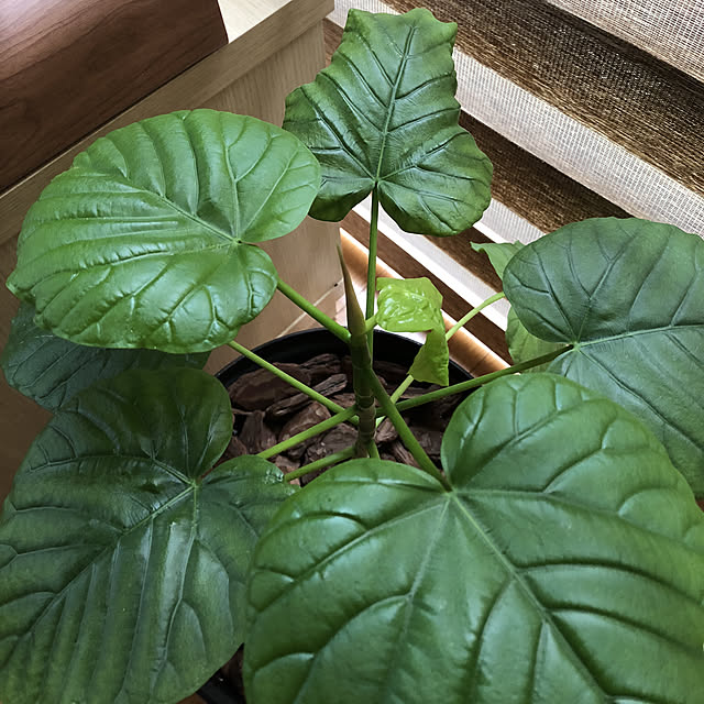 CoffeeHouseさんの実例写真