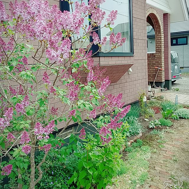 Minaharuさんの実例写真
