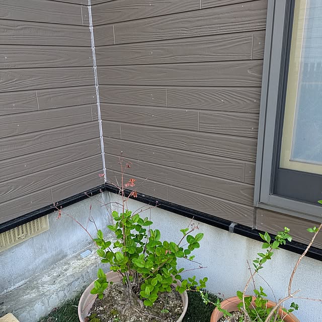 tikuwaさんの実例写真