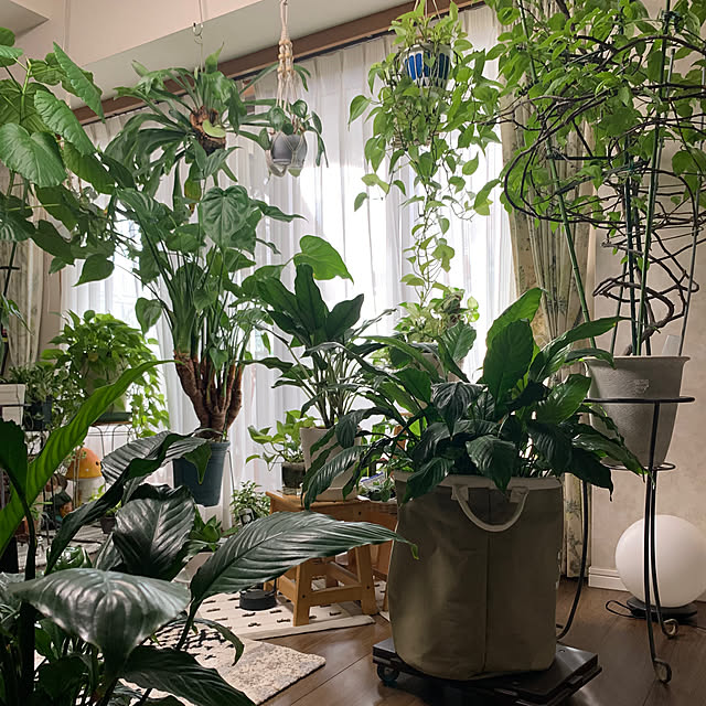 Aqettyさんの部屋