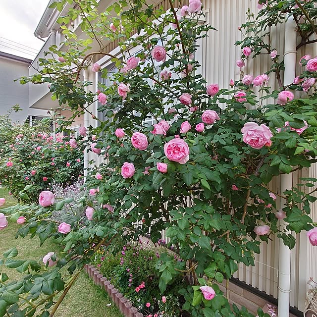 fleur-mamanさんの実例写真