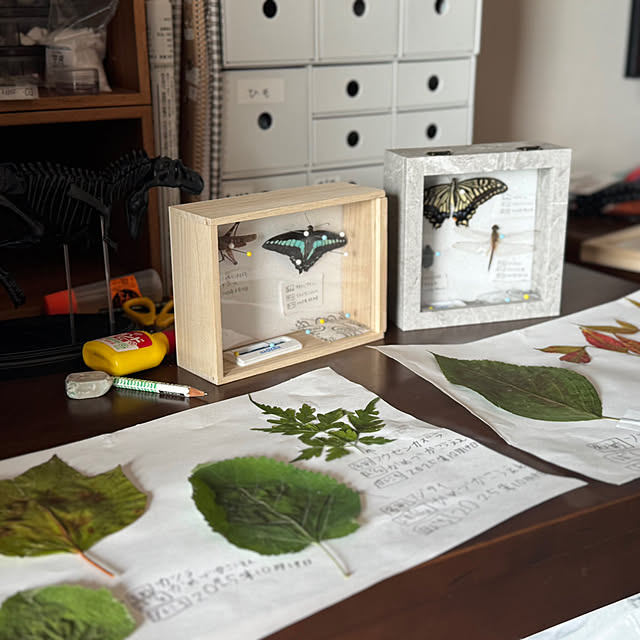 taro_kawaさんの実例写真