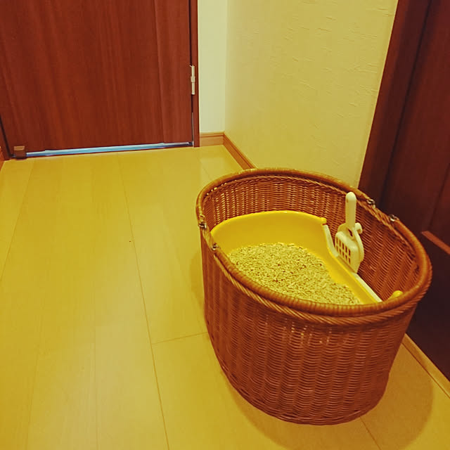maoshinさんの実例写真