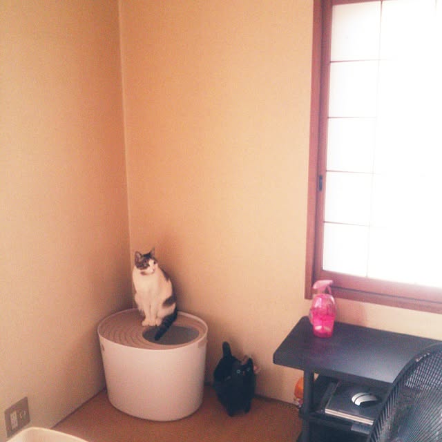 Tomopさんの実例写真