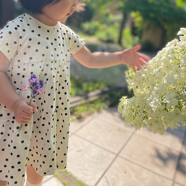 kuikoさんの実例写真