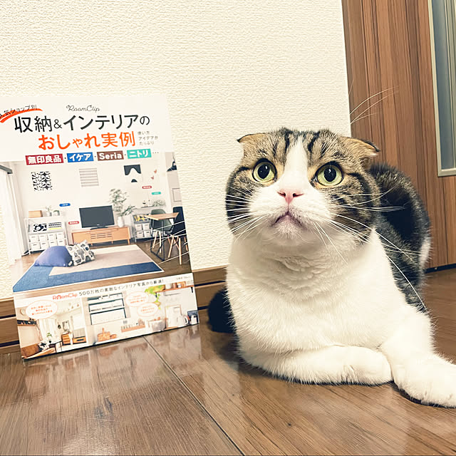 tansukeさんの実例写真