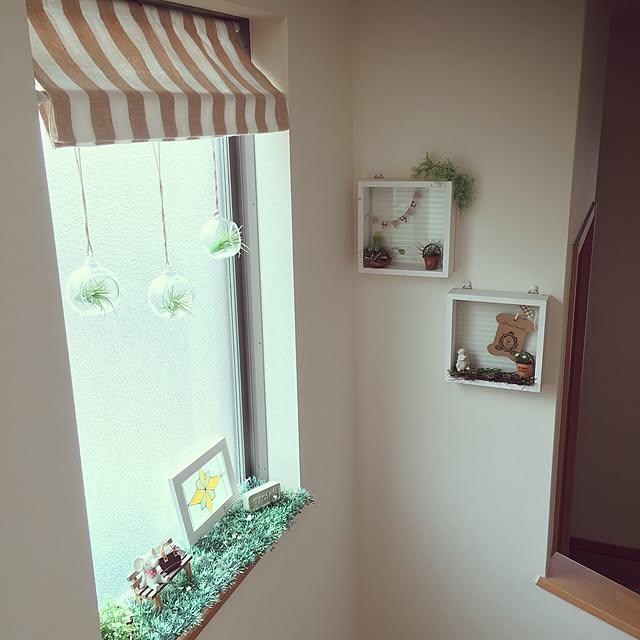 norikoko310さんの実例写真