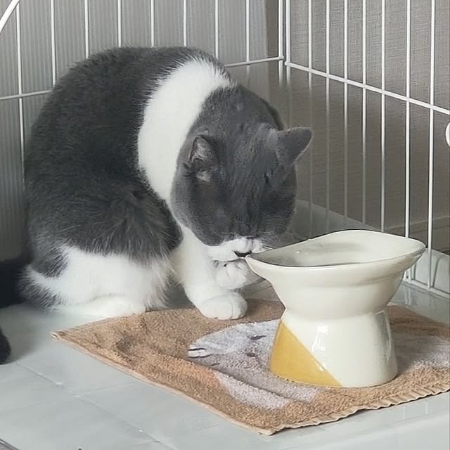 KEIKOさんの部屋
