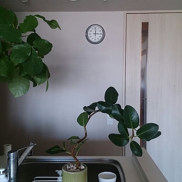 abeさんの実例写真