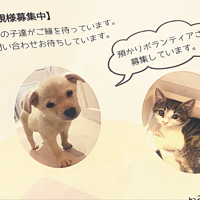 ohanaさんの部屋