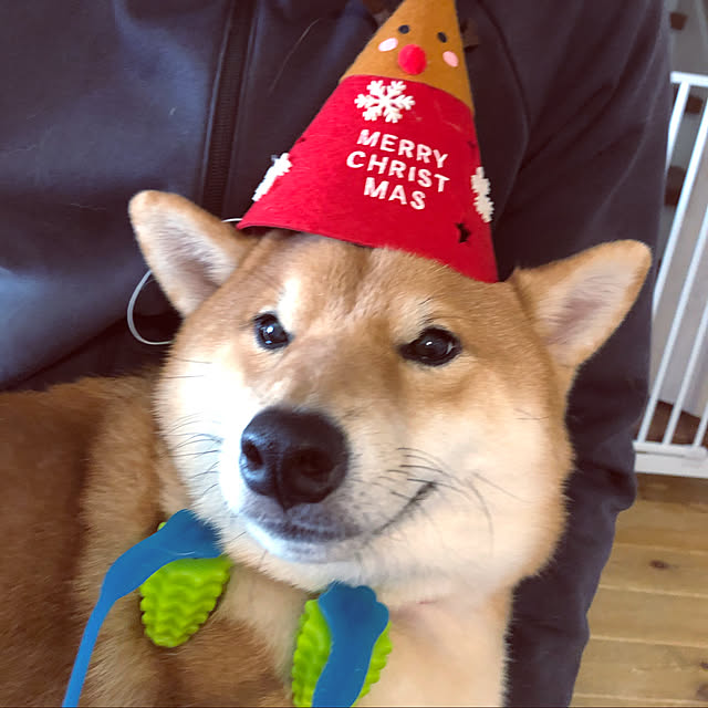 hogeさんの実例写真