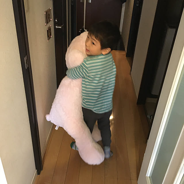 koshiregutyoさんの部屋