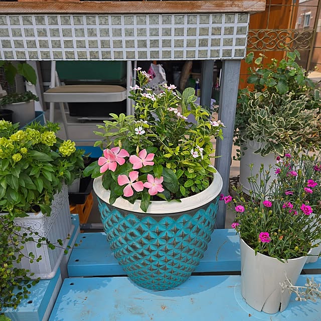 nonbiri_house_さんの実例写真