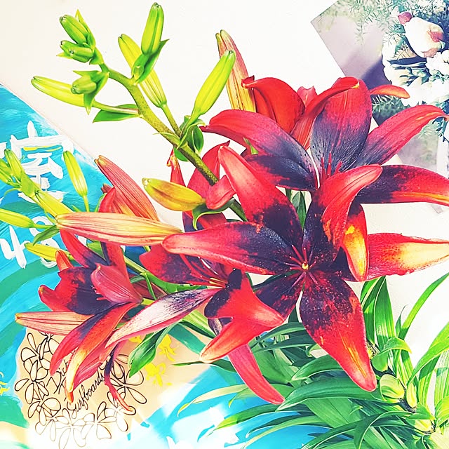 coconaさんの実例写真