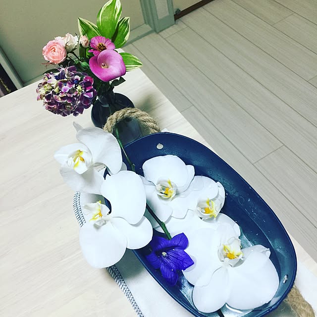 Hisaeさんの実例写真