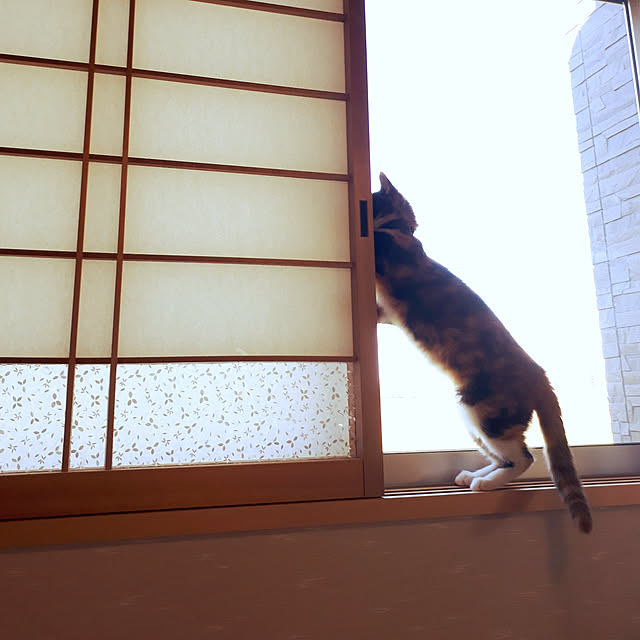 aiさんの実例写真