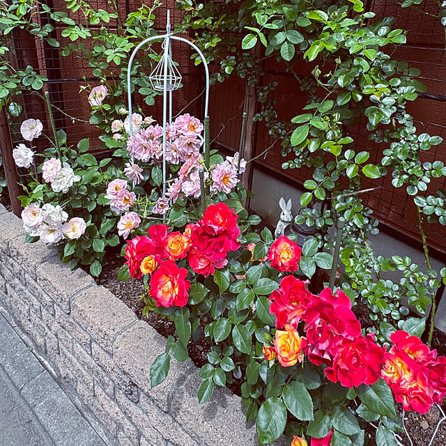RoseLife5818さんの実例写真