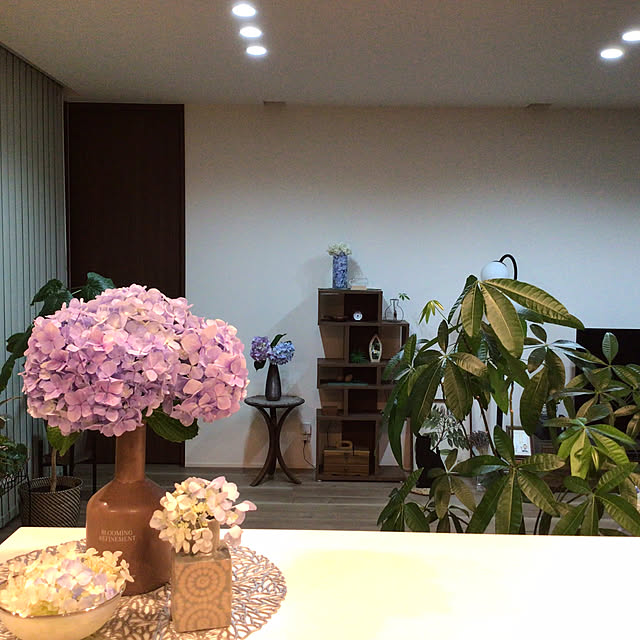 houenさんの部屋