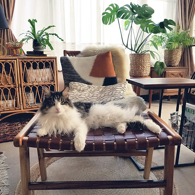 neoさんの実例写真