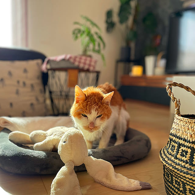 miruさんの部屋