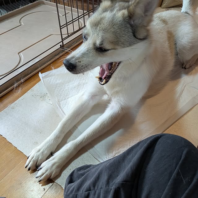 asaさんの部屋